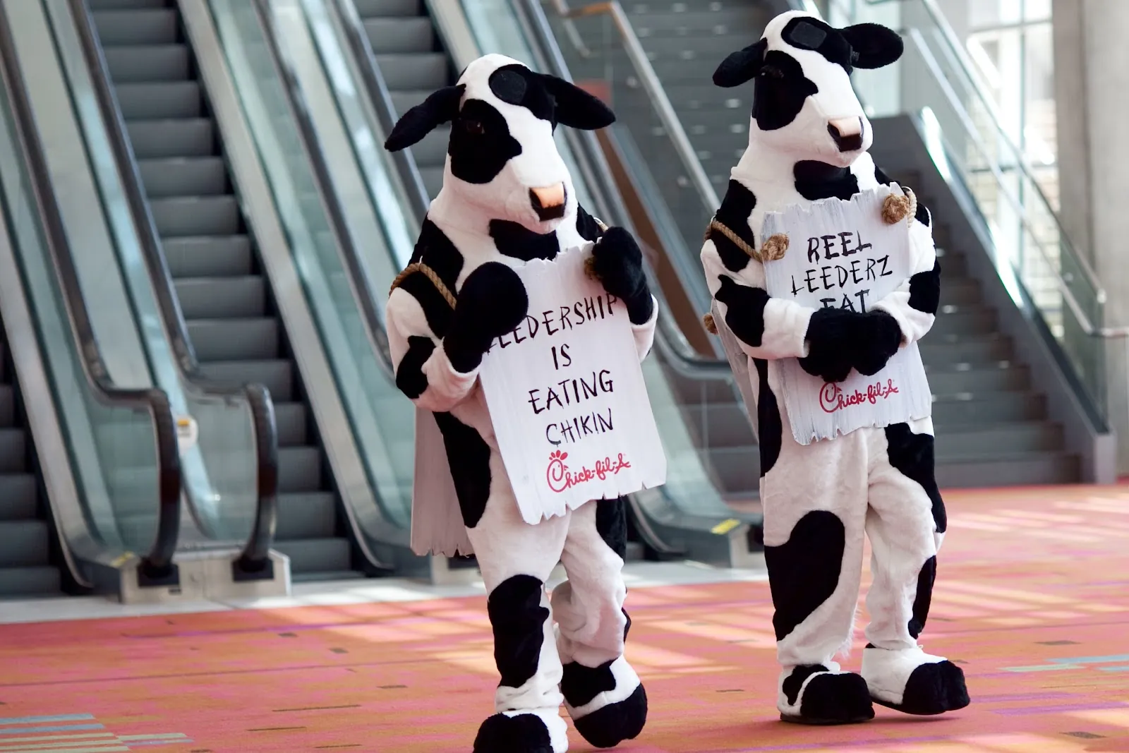 Chick-fil-A cows greet attendees
